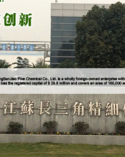 江苏长三角精细化工有限公司