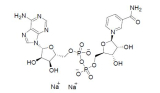煙酰胺腺嘌呤二核苷二鈉