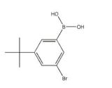 (3-溴-5-叔丁基苯基)硼酸