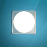 聚偏二氟乙烯濾膜(PVDF)