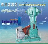 WLW系列無油立式真空泵