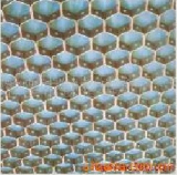 不銹鋼蜂窩填料