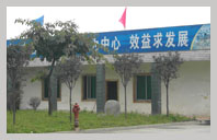 Sichuan Shifang Dingli Phosphorus Chemical Co., Ltd. - China Supplier Sichuan Shifang Dingli Phosphorus Chemical Co., Ltd. - China Supplier