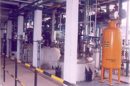 The Tyche Chem Ltd. - China Supplier