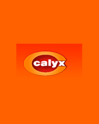 Calyx Chemicals & Pharmaceuticals Pvt. Ltd - China Supplier