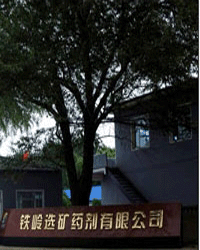 Tieling Flotation Reagents Co.,Ltd. - China Supplier