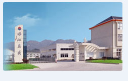 Zhejiang Wansheng Co., Ltd. - China Supplier