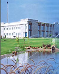 Granules India Limited - China Supplier Granules India Limited - China Supplier