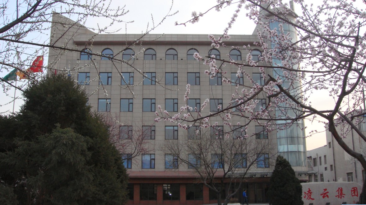 Huludao Lingyun Group Pesticides Chemical Co.,Ltd. - China Supplier