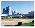 Zhejiang Wansheng Weiye Import & Export Co., Ltd. - China Supplier