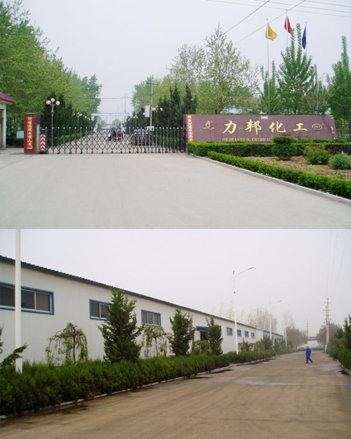 Shandong Heze Repont Chemical Co., Ltd. - China Supplier