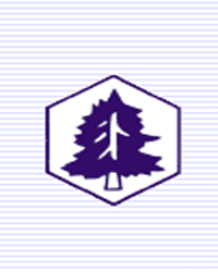 San Esters Corp. - China Supplier