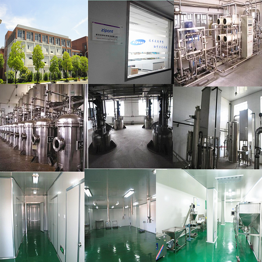 Wuhan Zipont Chem Tech Co., LTD - China Supplier Wuhan Zipont Chem Tech Co., LTD - China Supplier