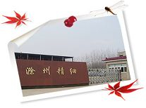 Chuzhou Fine Chemical Factory - China Supplier