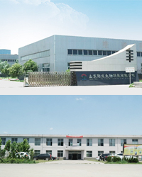 Shandong Yangcheng Biotech Co., Ltd - China Supplier