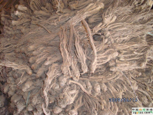 China Stiffleaf  juniper cone Extract - China Supplier