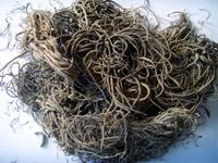China Magnolia Oil - China Supplier