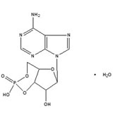 China Adenosine Cyclophosphate - China Supplier