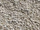 China White Kidney Bean Extract - China Supplier China White Kidney Bean Extract - China Supplier