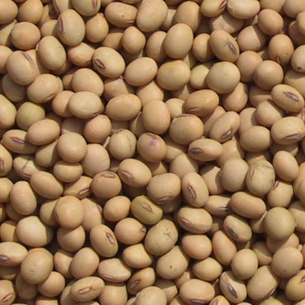 China SOYBEAN OIL - China Supplier China SOYBEAN OIL - China Supplier