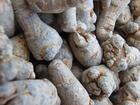 China March7 extract - China Supplier China March7 extract - China Supplier