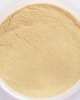 China Ginseng Extract - China Supplier