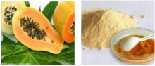 China Pawpaw - China Supplier