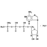 China ADENOSINE TRIPHOSPHATE DISODIUM - China Supplier