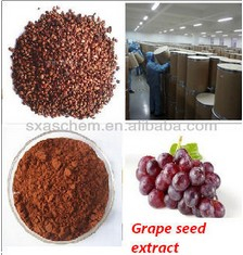 China Grape seed extract - China Supplier China Grape seed extract - China Supplier