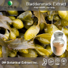 China Bladderwrack Kelp Extract - China Supplier China Bladderwrack Kelp Extract - China Supplier