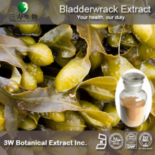 China Bladderwrack Kelp Extract - China Supplier