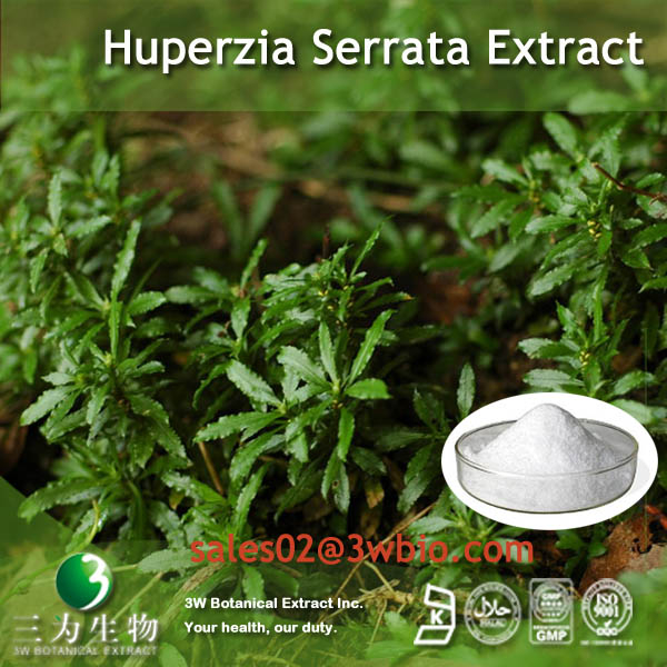 China Huperzia Serrata Extract - China Supplier China Huperzia Serrata Extract - China Supplier