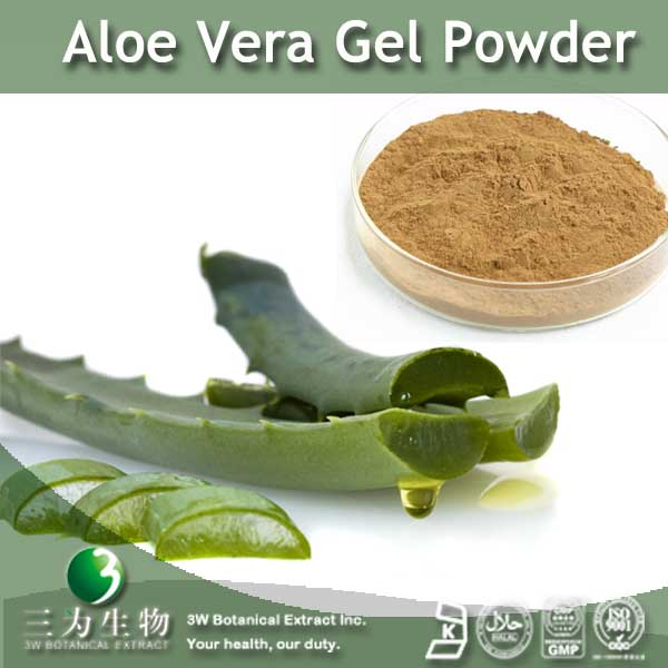 China China Aloe Vera Spray - China Supplier China China Aloe Vera Spray - China Supplier