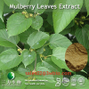 China Mulberry Leaf Extract - China Supplier China Mulberry Leaf Extract - China Supplier