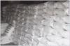 China Tri-Sodium Phosphate - China Supplier