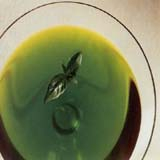 China BASIL OIL - China Supplier