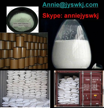 China Ferrous Sulphate Monohydrate - China Supplier
