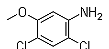 China 2,4-Dichloro-5-methoxyaniline - China Supplier