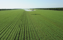 China Agricultural Spray Adjuvant - China Supplier