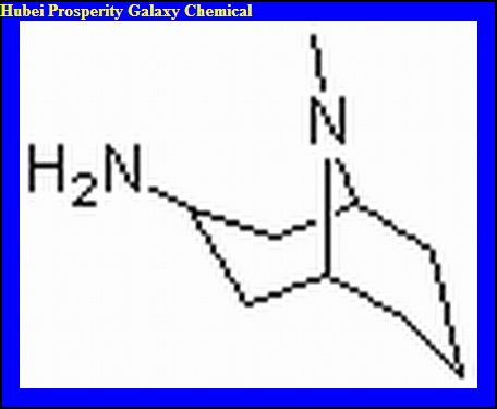 China Endo-3-amine-9-methyl-9-azabicyclo[3,3,1]nonane - China Supplier