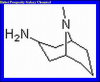 China Endo-3-amine-9-methyl-9-azabicyclo[3,3,1]nonane - China Supplier