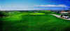China Agricultural Silicone Surfactant - China Supplier China Agricultural Silicone Surfactant - China Supplier