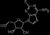 China Fludarabine - China Supplier