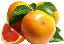 China Naringin - China Supplier