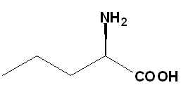 China D-Norvaline - China Supplier