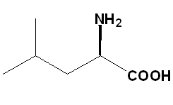 China D-leucine - China Supplier