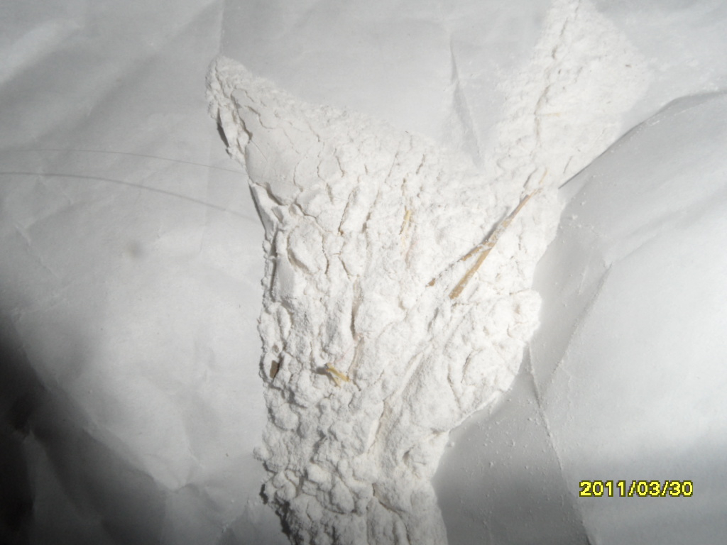 China water treatment material - China Supplier