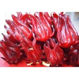 China Hibiscus Flower Extract - China Supplier