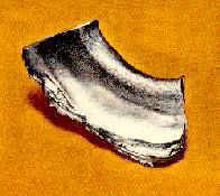 China Holmium - China Supplier China Holmium - China Supplier