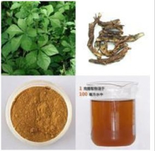 China Eleutherocus senticosus - China Supplier
